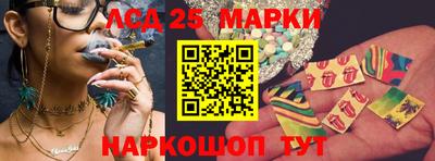 стафф Новодвинск