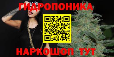 эйфоретик Новозыбков