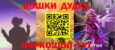 стафф Новодвинск
