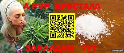 стафф Новодвинск