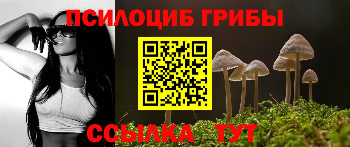 Псилоцибиновые грибы Cubensis  Вход с VPN  Холмск  Псилоцибиновые грибы ЛСД 