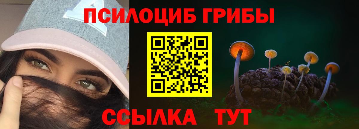 Псилоцибиновые грибы Cubensis Холмск